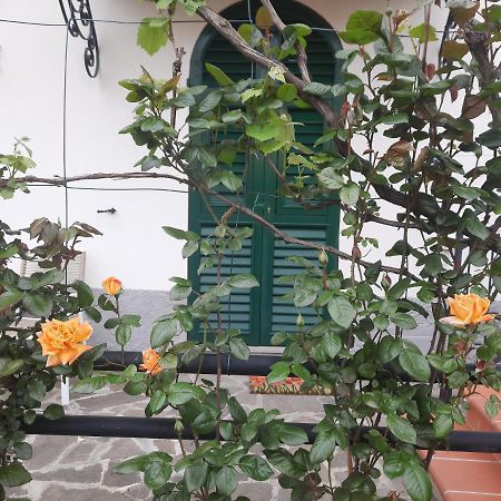 La Villa ラ・スペツィア エクステリア 写真