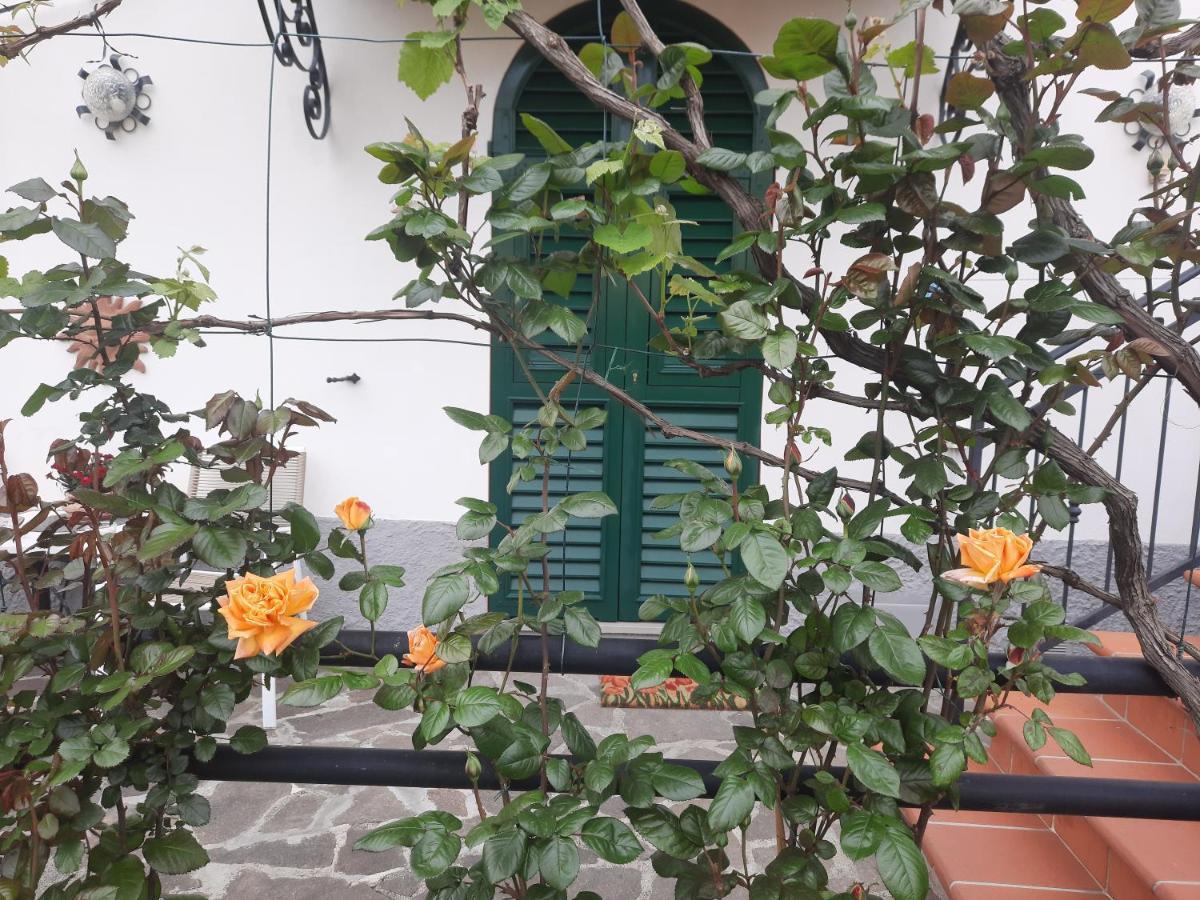 La Villa ラ・スペツィア エクステリア 写真